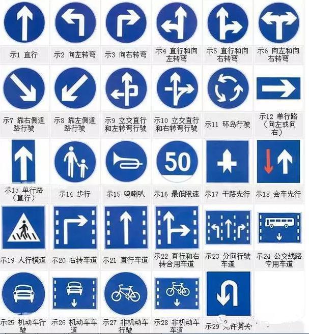 看清信號(hào)燈、標(biāo)牌與標(biāo)線
