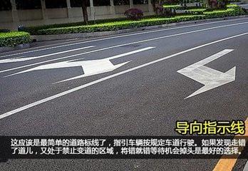看清信號(hào)燈、標(biāo)牌與標(biāo)線
