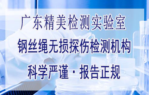肇慶市第三方檢測(cè)服務(wù) 起重機(jī)鋼絲繩X射線探傷與商務(wù)信息咨詢一體化解決方案